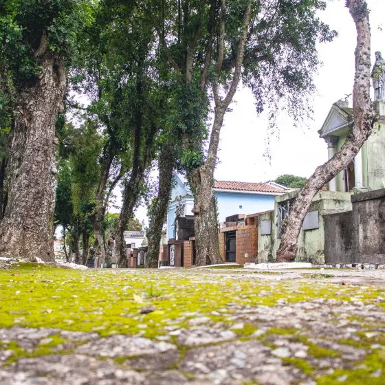 Cemitério Tremembé — foto 5