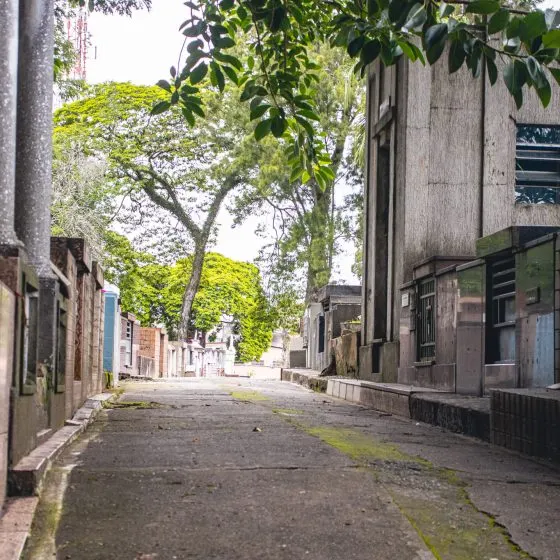 Cemitério Tremembé — foto 4