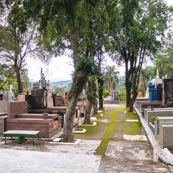 Cemitério Tremembé — foto 3