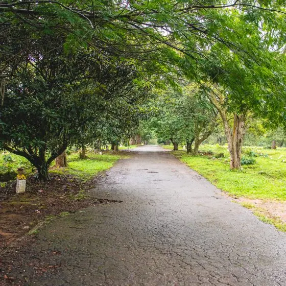 Cemitério Vila Formosa — foto 3