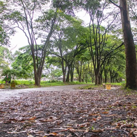 Cemitério Vila Formosa — foto 5
